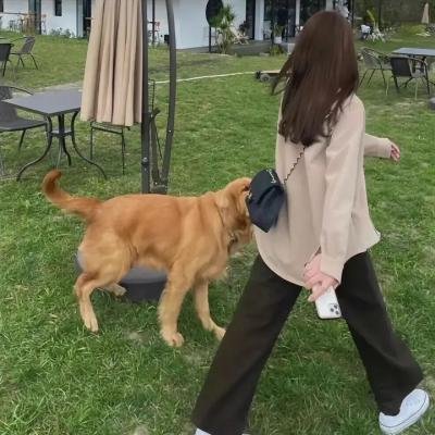 玻璃牢房